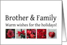 Brother & Family - Red Collage warm holiday wishes card