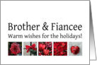 Brother & Fiancee - Red Collage warm holiday wishes card