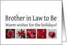 Brother in Law to Be - Red Collage warm holiday wishes card