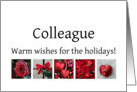 Colleague - Red Collage warm holiday wishes card