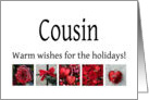 Cousin - Red Collage warm holiday wishes card