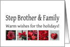 Step Brother & Family - Red Collage warm holiday wishes card