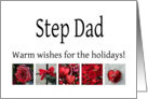 Step Dad - Red Collage warm holiday wishes card