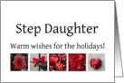 Step Daughter - Red Collage warm holiday wishes card