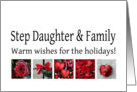 Step Daughter & Family - Red Collage warm holiday wishes card