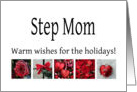 Step Mom - Red Collage warm holiday wishes card