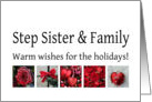 Step Sister & Family - Red Collage warm holiday wishes card