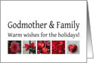 Godmother & Family - Red Collage warm holiday wishes card