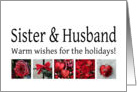 Sister & Husband - Red Collage warm holiday wishes card