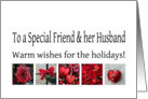 To a Special Friend & her Husband - Red Collage warm holiday wishes card