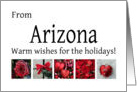 Arizona - Red Collage warm holiday wishes card