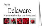 Delaware - Red Collage warm holiday wishes card