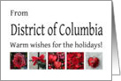 District of Columbia - Red Collage warm holiday wishes card