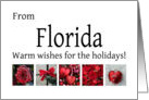 Florida - Red Collage warm holiday wishes card