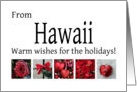 Hawaii - Red Collage warm holiday wishes card