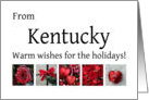 Kentucky - Red Collage warm holiday wishes card