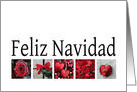 Feliz Navidad Spanish Christmas Red Winter Collage card