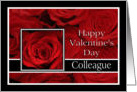 Colleague - Valentine’s Day Roses red, black and white card