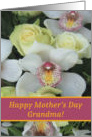 Grandma, Happy Mother’s Day Card - White Orchid card