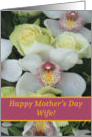 Wife, Happy Mother’s Day Card - White Orchid card