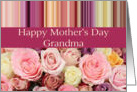 Grandma - Happy Mother’s Day pastel roses & stripes card