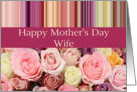 Wife - Happy Mother’s Day pastel roses & stripes card