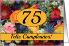 75th Spanish Happy Birthday Card/Feliz Cumpleaos - Summer bouquet card