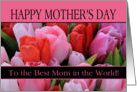 Best Mom in the world Mixed pink tulips Mother’s Day card