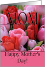 Mom Mixed pink tulips Mother’s Day card