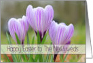 to the Newlyweds - Happy Easter Purple crocuses card