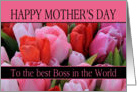 Best Boss in the world Mixed pink tulips Mother’s Day card