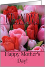 Grandma Mixed pink tulips Happy Mother’s Day card