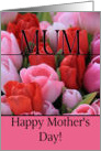 Mum Mixed pink tulips Happy Mother’s Day card