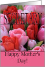 Secretary Mixed pink tulips Happy Mother’s Day card