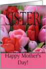 Sister Mixed pink tulips Happy Mother’s Day card