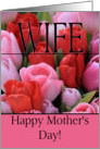 wife Mixed pink tulips Happy Mother’s Day card