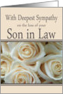 Son in Law - With Deepest Sympathy, Pale Pink roses card
