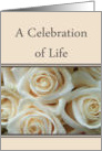 Celebration of Life, Pale Pink roses card