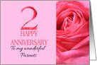 2nd Anniversary to Parents Pink Rose Close Up card