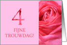 4th Anniversary Dutch Fijne Trouwdag - Pink rose close up card