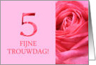 5th Anniversary Dutch Fijne Trouwdag - Pink rose close up card