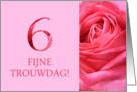 6th Anniversary Dutch Fijne Trouwdag - Pink rose close up card