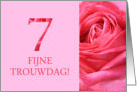 7th Anniversary Dutch Fijne Trouwdag - Pink rose close up card