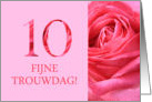 10th Anniversary Dutch Fijne Trouwdag - Pink rose close up card