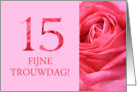 15th Anniversary Dutch Fijne Trouwdag - Pink rose close up card