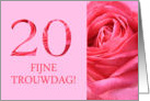 20th Anniversary Dutch Fijne Trouwdag - Pink rose close up card