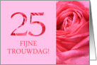 25th Anniversary Dutch Fijne Trouwdag - Pink rose close up card