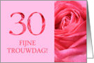 30th Anniversary Dutch Fijne Trouwdag - Pink rose close up card