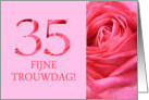 35th Anniversary Dutch Fijne Trouwdag - Pink rose close up card