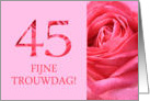 45th Anniversary Dutch Fijne Trouwdag - Pink rose close up card